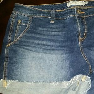 Torrid shorts